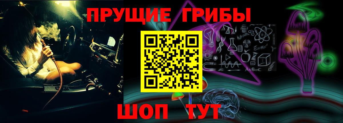 где продают наркотики  Псилоцибиновые грибы прущие грибы  Вход с VPN  Муравленко 
